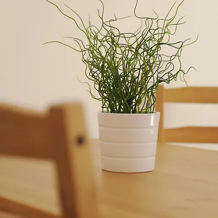 Laura By Schladmingurlaub Schladming